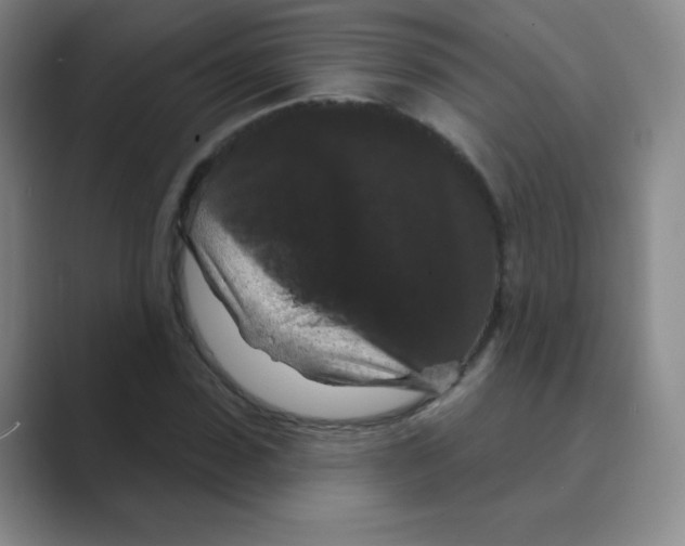 X0000088690923200706281959