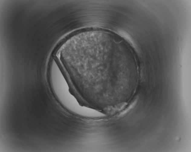 X0000088690924200706281959