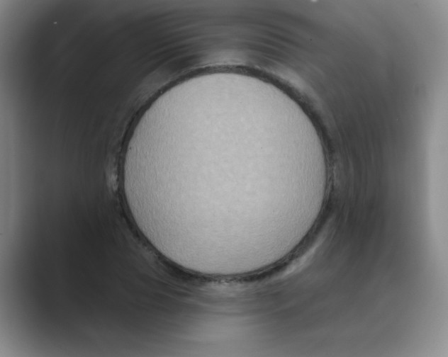 X0000088690929200706281959