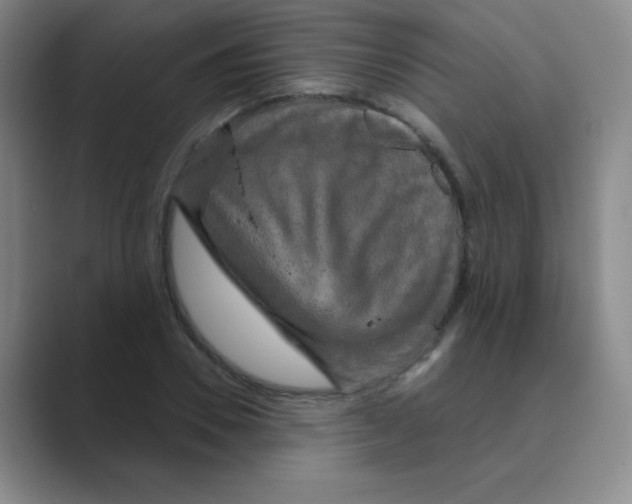 X0000088690930200706281959