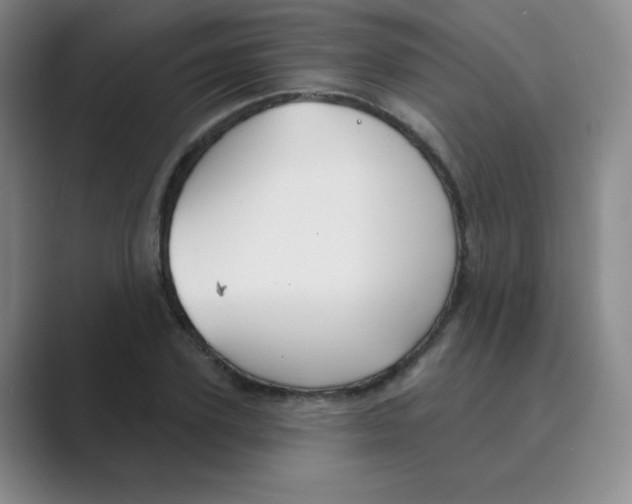 X0000088690931200706281959
