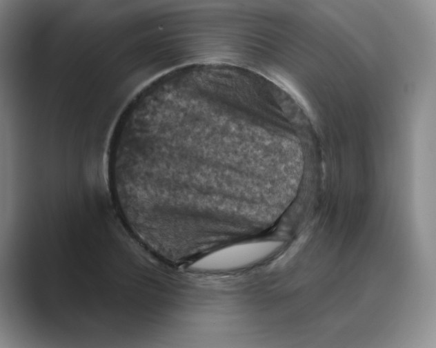 X0000088690932200706281959