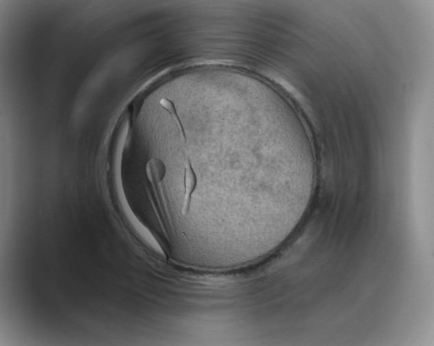 X0000088690933200706281959