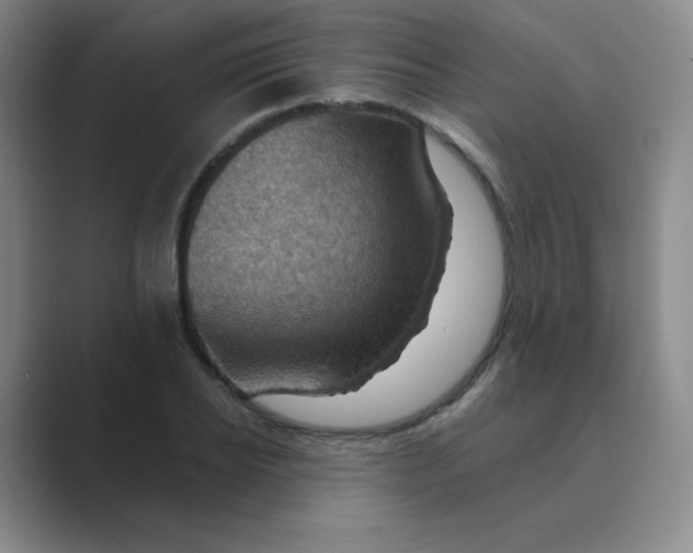X0000088690934200706281959