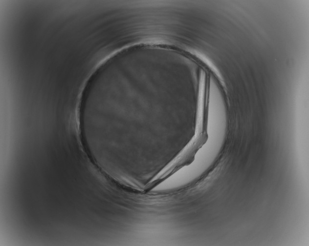X0000088690935200706281959