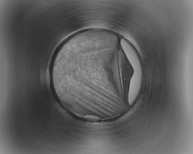 X0000088690936200706281959
