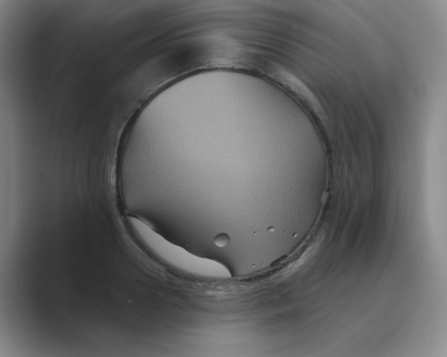 X0000088690938200706281959