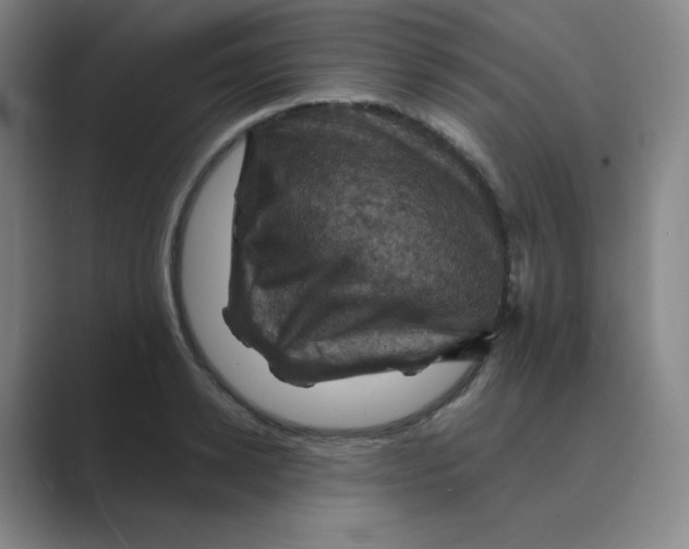X0000088690942200706282000