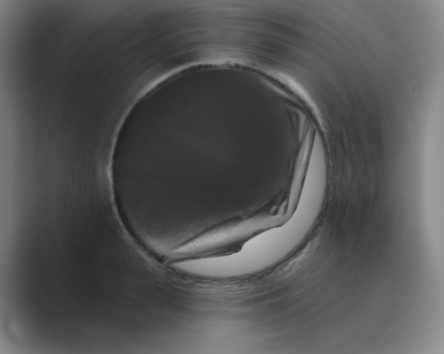 X0000088690943200706282000