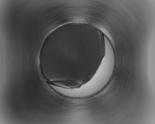 X0000088690944200706282000