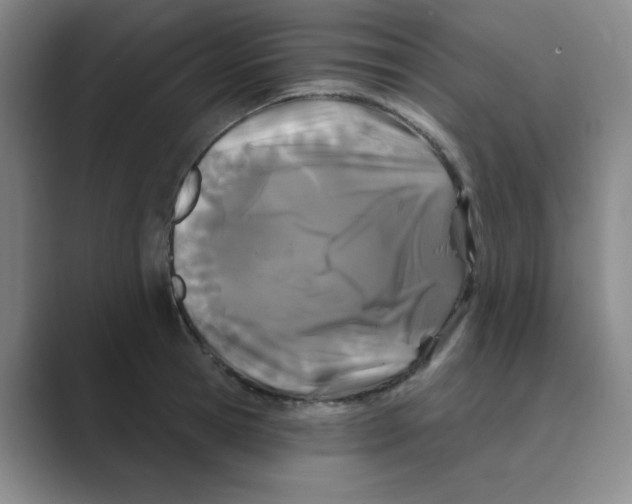 X0000088690945200706282000