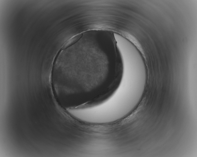 X0000088690946200706282000