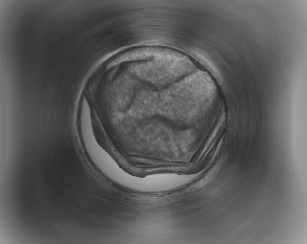 X0000088690948200706282000