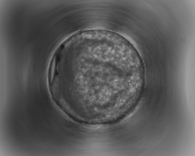 X0000088690949200706282000