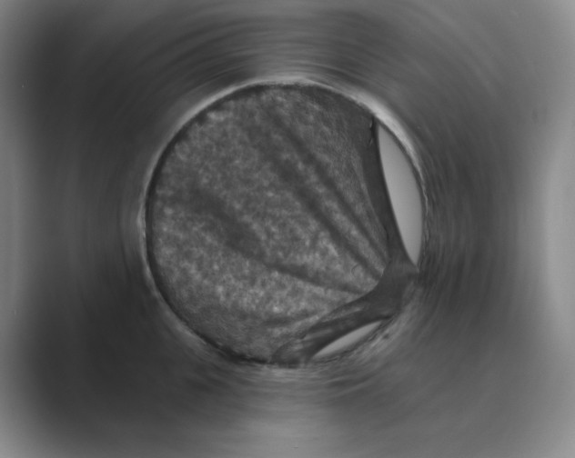 X0000088690951200706282000