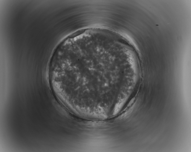 X0000088690952200706282000