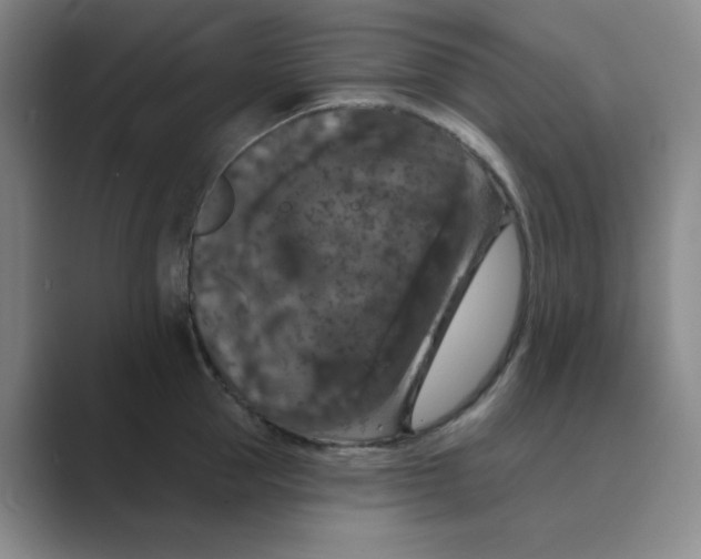X0000088690953200706282000