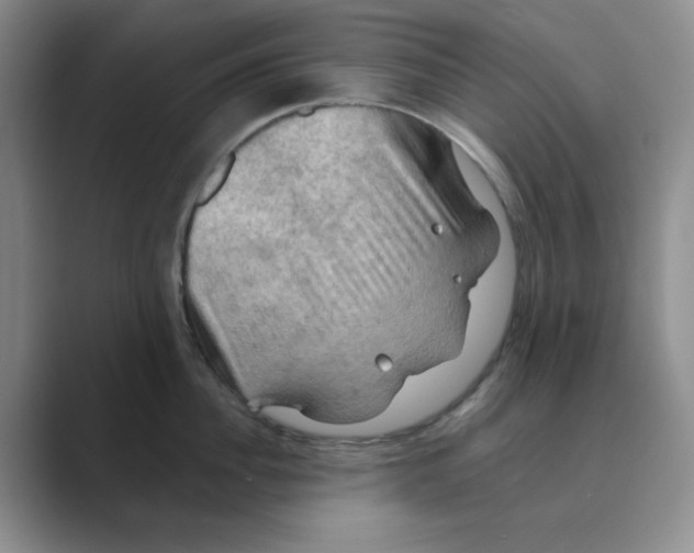 X0000088690956200706282000