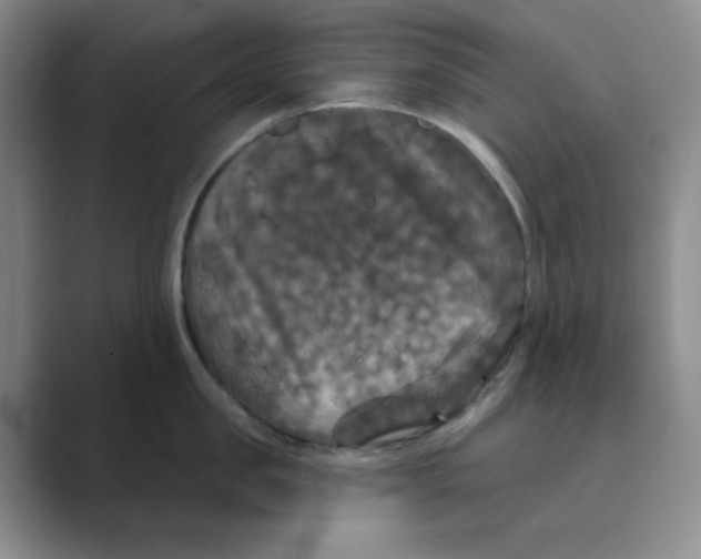 X0000088690957200706282000