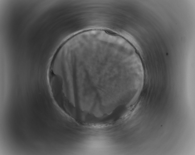 X0000088690958200706282000