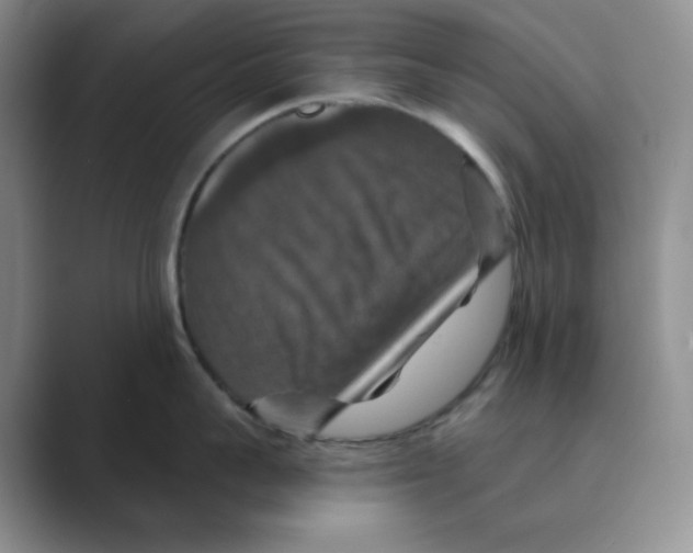 X0000088690959200706282000