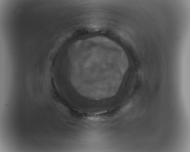 X0000088690961200706281959
