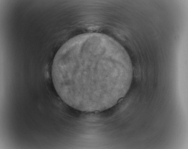 X0000088690962200706281959