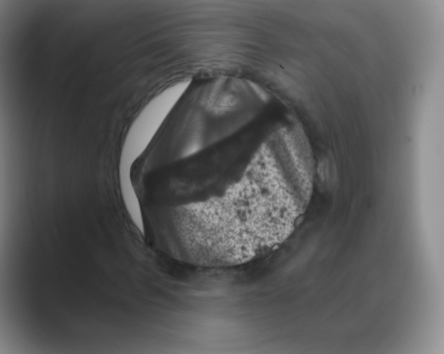 X0000088690963200706281959
