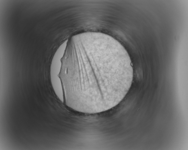 X0000088690964200706281959