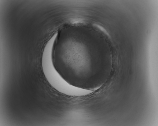 X0000088690965200706281959