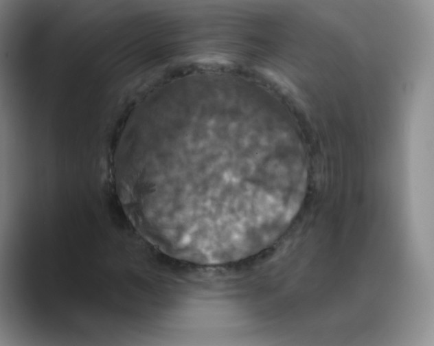 X0000088690966200706281959
