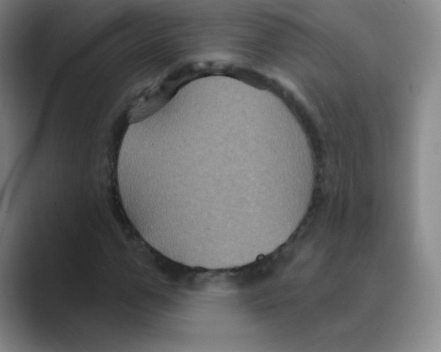 X0000088690967200706281959