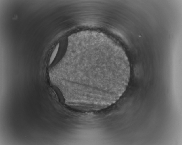 X0000088690968200706281959