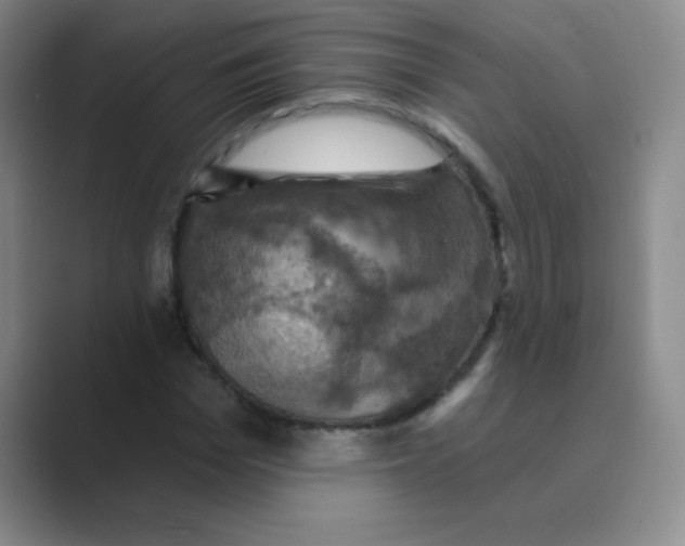 X0000088690969200706281959