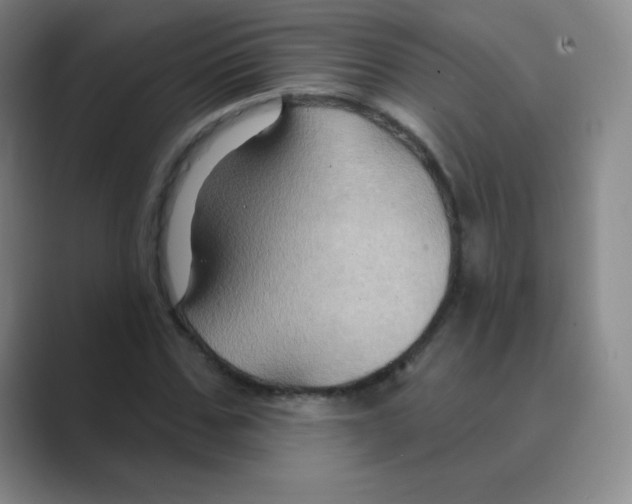 X0000088690971200706281959