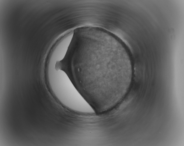 X0000088690972200706281959