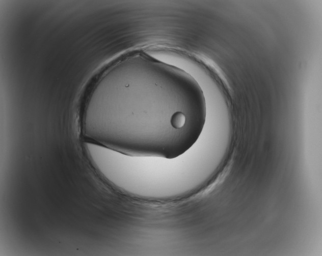 X0000088690973200706281959