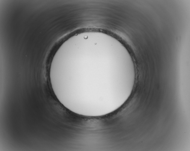 X0000088690974200706281959
