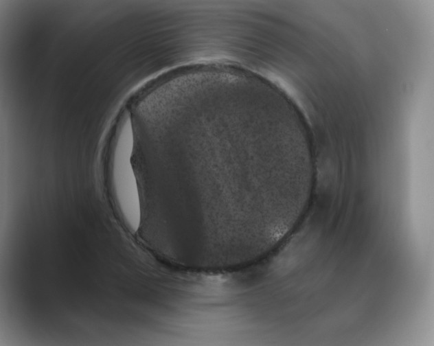 X0000088690975200706281959