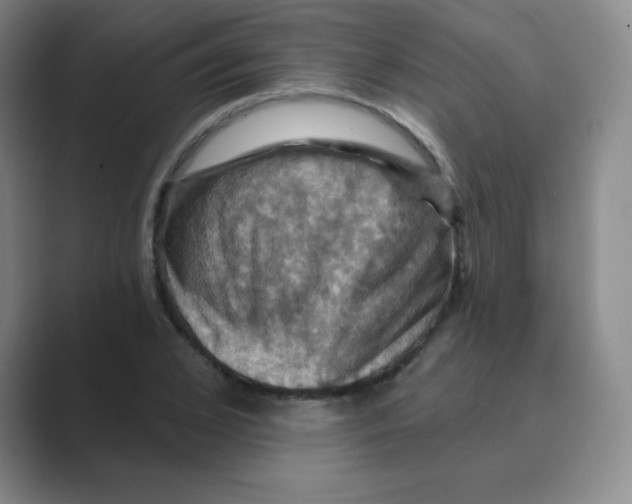 X0000088690976200706281959