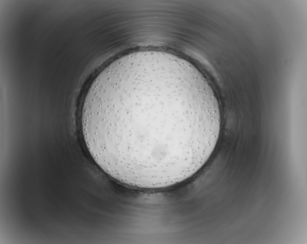 X0000088690978200706281959