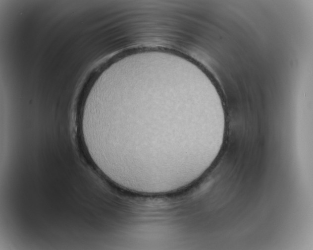 X0000088690979200706281959
