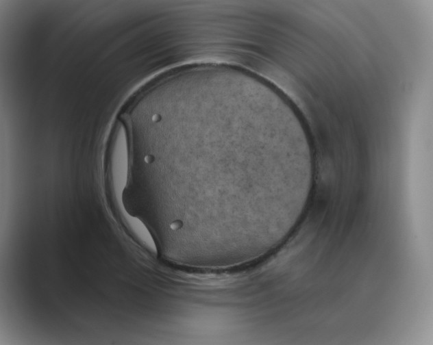 X0000088690980200706281959