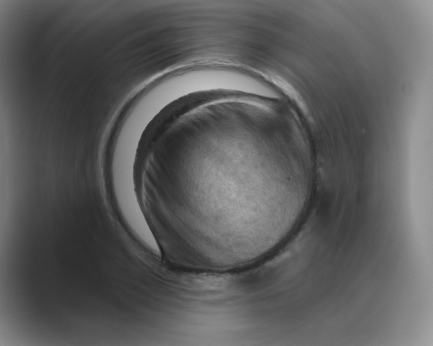 X0000088690981200706281959