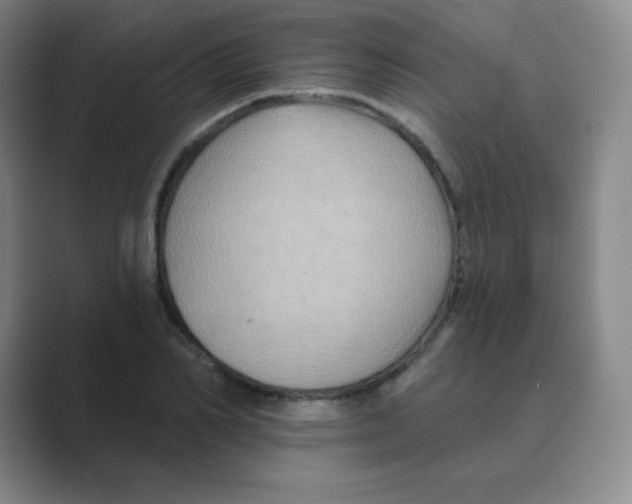 X0000088690982200706281959