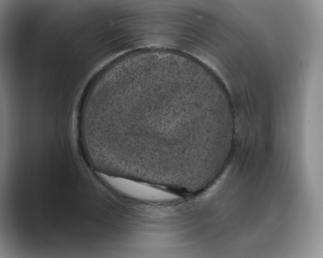 X0000088690983200706281959
