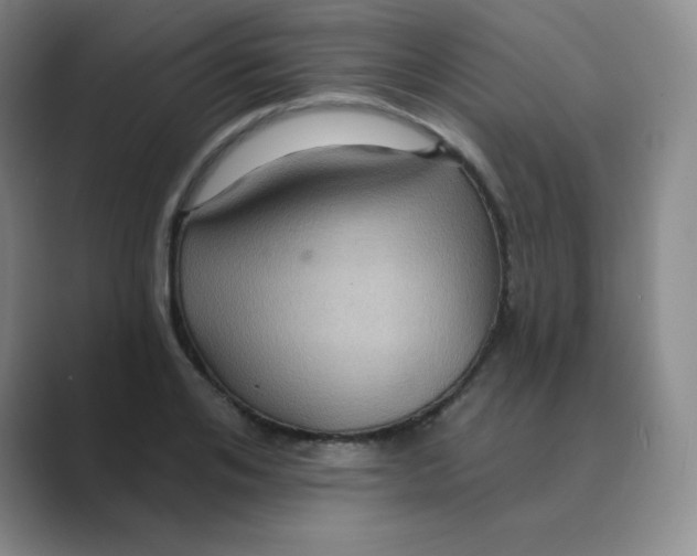 X0000088690984200706281959