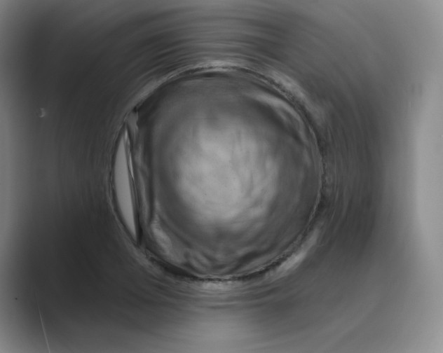 X0000088690985200706281959