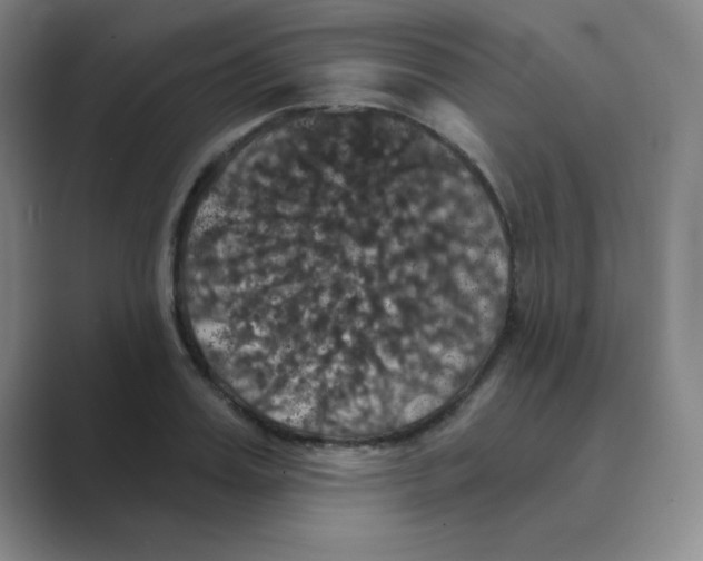 X0000088690987200706281959