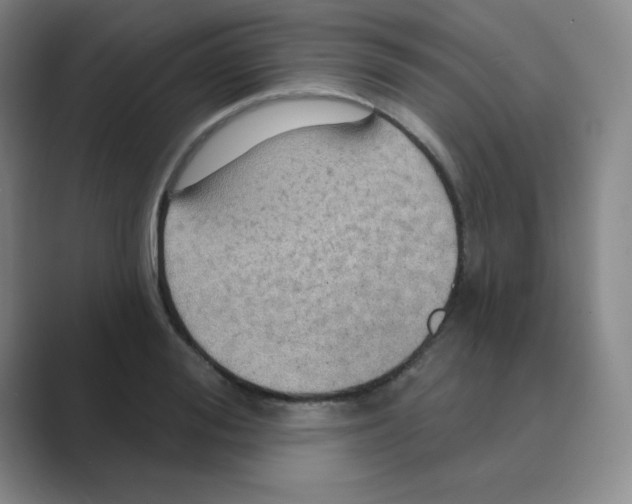 X0000088690988200706281959